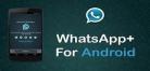 whatsapp铃声下载_下载whatsapp手机版